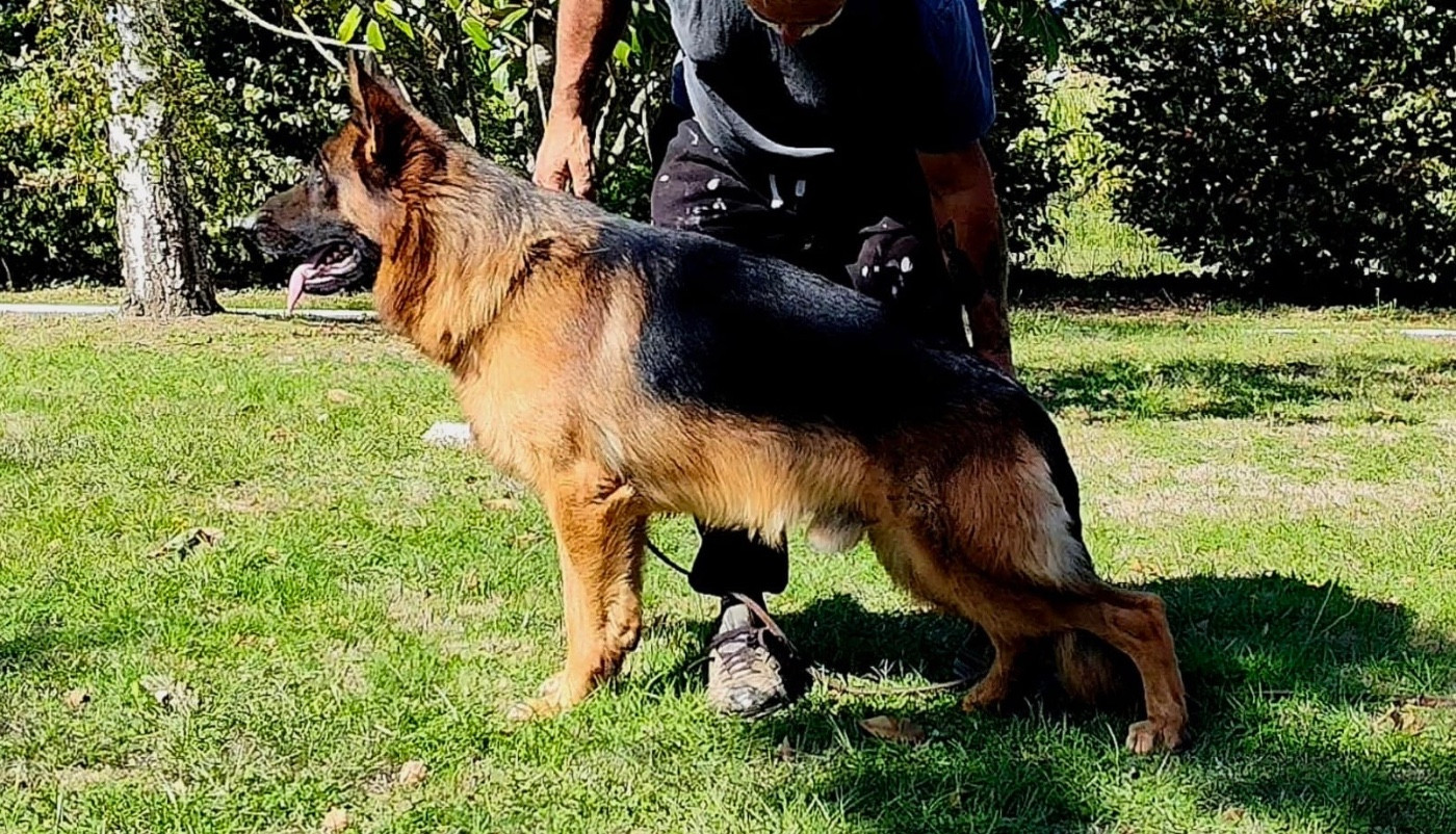 URAN Des marais d'elesmes